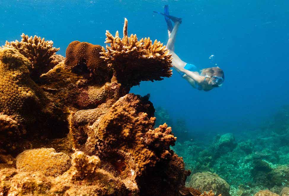 snorkeling off Con Dao Island, Vietnam