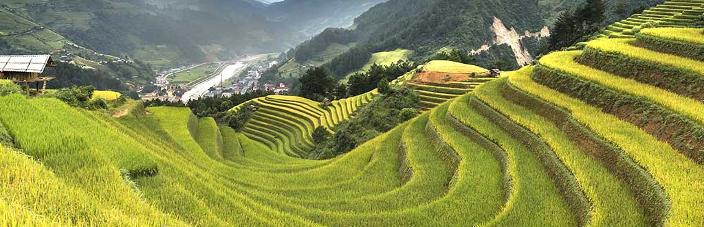 Terraced rice fields in Pu Luong Nature Reserve near Mai Chau