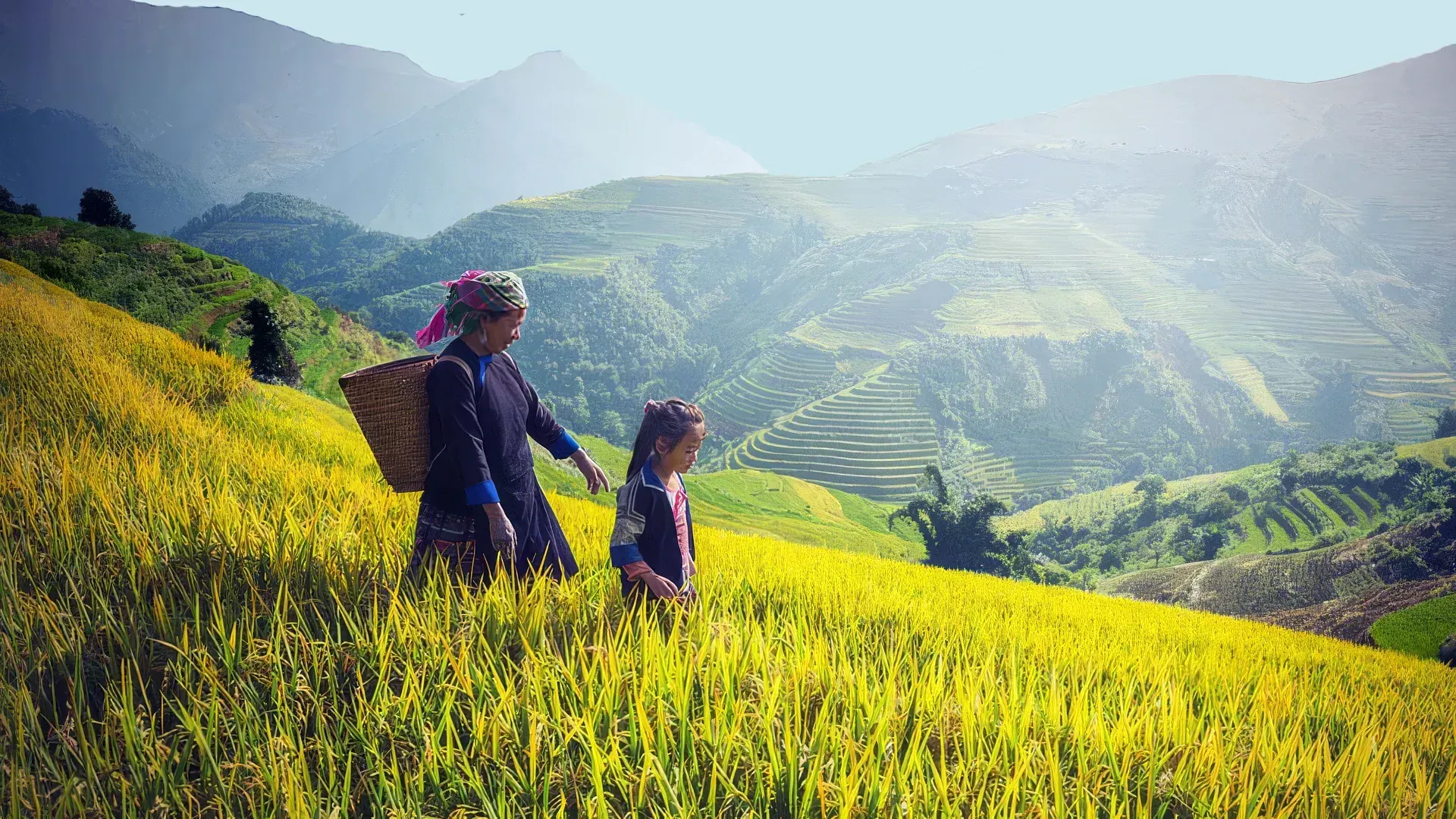 Sapa