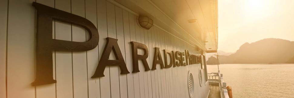 Paradise Privilege Halong Bay cruise ship